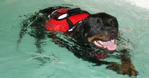 299875_10150403712567619_83033587_n