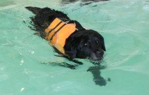 311723_10150403660687619_1327738096_n