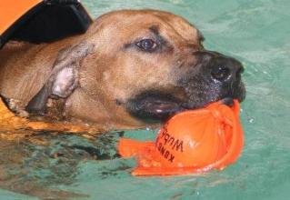 314597_10150403639632619_198184788_n