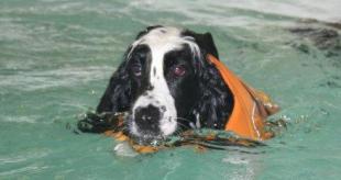 314838_10150403632432619_458680493_n