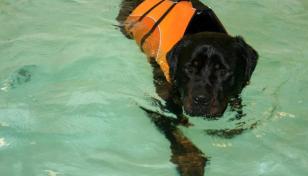 316600_10150403710462619_860069150_n