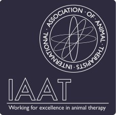 IAAT Logo developement 2
